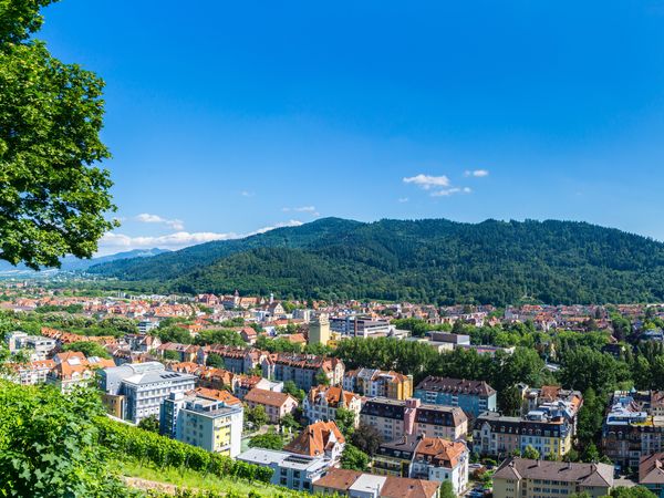 Münster und Schwarzwald – 4 Tage Freiburg im Breisgau, Baden-Württemberg inkl. Frühstück