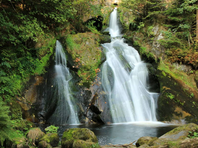 Entspannung PUR -3 Tage Bad Dürrheim & SOLEMAR Therme