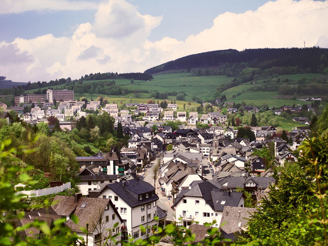 Erholung PUR in Willingen / Abendessen inkl. Getränke