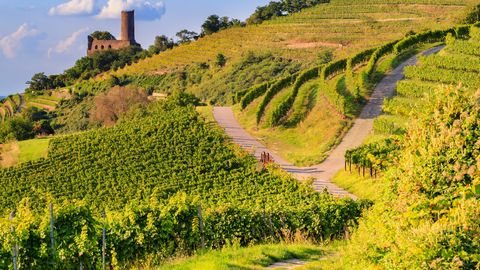 Nördliches Baden-Württemberg
