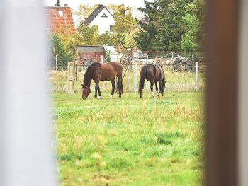 5 Tage Neuruppin- zum Verweilen