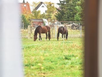 Bild 6 von 22
