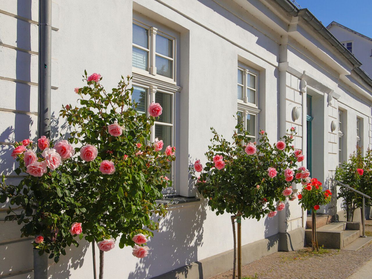 6 Tage im Naturparadies auf Rügen