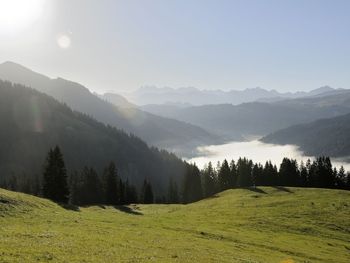 4 Tage aktive Erholung im Oberallgäu mit VP
