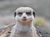 Zoo Rostock Tickets mit Hotel