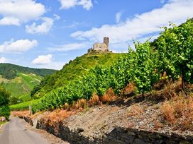 4 Kennenlerntage an der Mosel inkl. Wein & Gutschein Schiffsrundfahrt