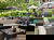 3 Tage Waldhotel in Brabant – Ruhe & Natur erleben