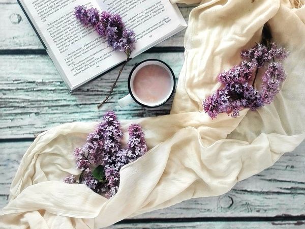 15 Tage bleiben inkl. Buch und Kuscheldecke in Wyk auf Föhr, Schleswig-Holstein