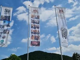 2 Tage Kurzurlaub mit HP im Hasseroder Burghotel