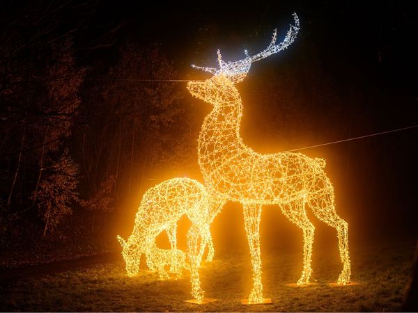 Kurzurlaub zur Wintersaison im Freizeitpark – 3 Tage in Lichtenau (Sachsen) Frühstück