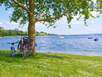 Fahrrad-Erlebnistage nahe Bodensee und Schwarzwald