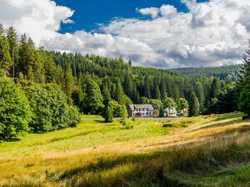 Kurz mal raus – Natur & Entspannung im Hotel Kammweg
