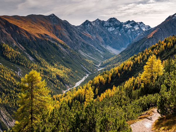 4 Tage Kurzurlaub mit Frühstück im Hotel Joseph’s House in Davos, Graubünden inkl. Frühstück