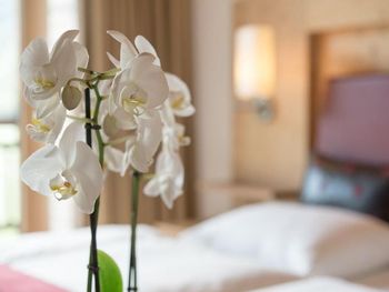 Wohlfühloase 3 Tage mit HP im Hotel Aqua Dome