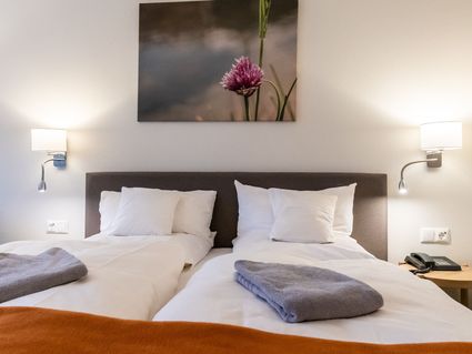Hotel Ascona