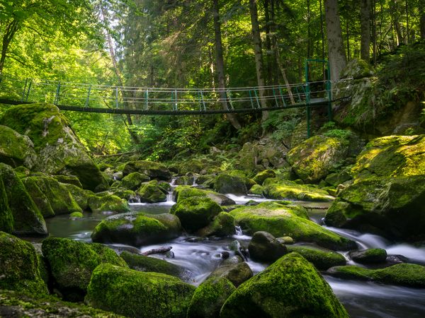 2 Tage im Hotel Ahornhof mit Frühstück in Lindberg, Bayern inkl. Frühstück