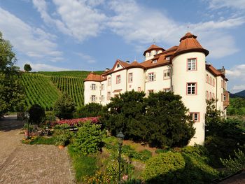 3 Tage Wein-Erlebniszeit inmitten von Weinbergen