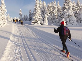 2 Tage Familienzeit im Bayerwald: Naturerlebnisse pur