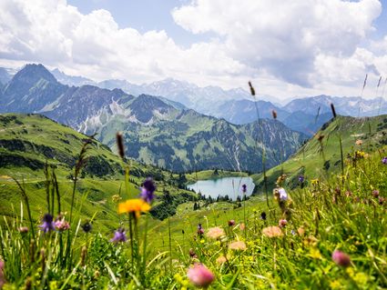 Bayerischer Wald für Individualisten inkl HP | 5 Tage
