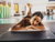Thermentage mit asiatischem Flair & Hotel SPA in Bad Erlach | 2 Nächte