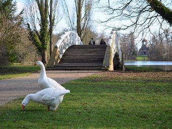 3 Tage Auszeit in Heidelberg und Therme Sinsheim