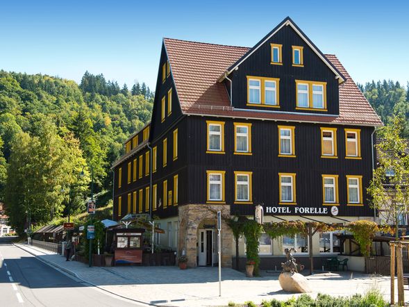 Ferien Hotel Forelle