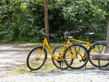 Fahrradtour durch die Schorfheide - 5 Tage Natur pur