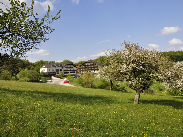 Naturgenuss und Wanderlust in Tullnerbach Halbpension