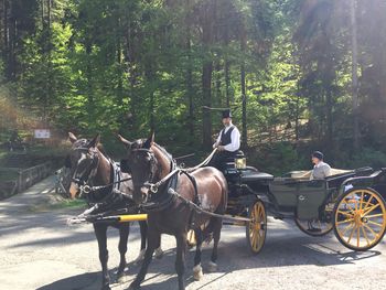 Kuschelzeit im Wald