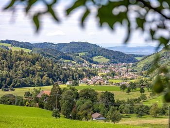 Wandern durch Wald und Reben - 6 Tage inkl Lunchpaket