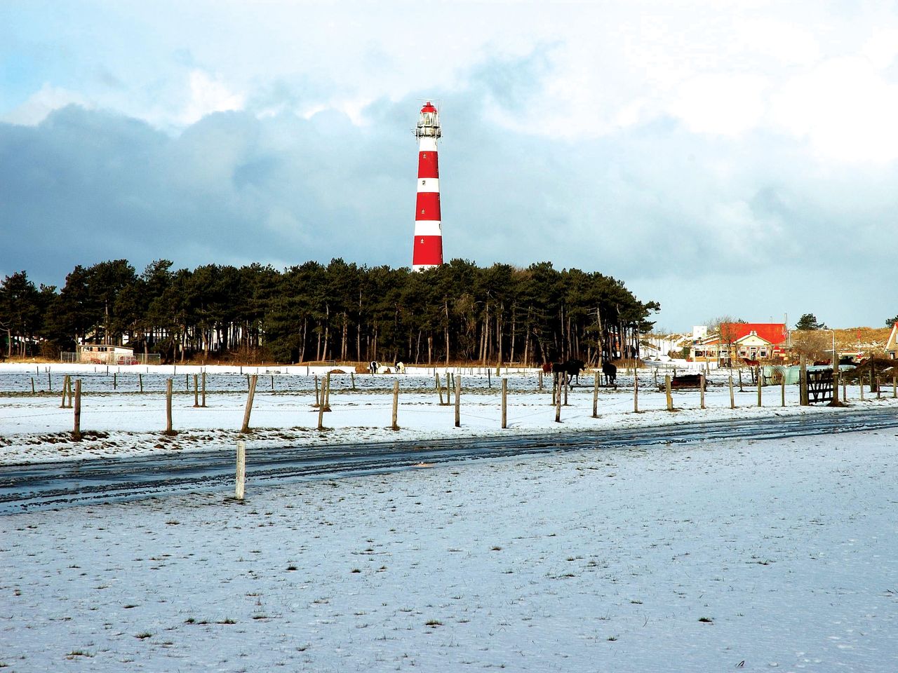 5 Tage Strandparadies Ameland Natur und endlose Weite