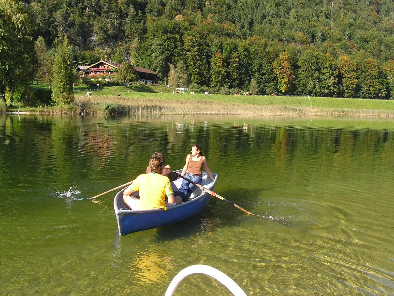 Alpen-Sommer in purer Natur