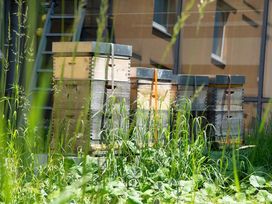 3 Tage Auszeit für Genießer am Donauufer von Linz