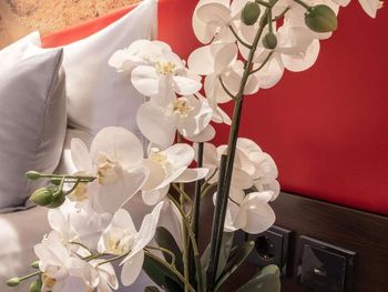 4 Tage im Best Western Plus Plaza