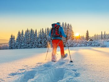 Berg Auf Rodeln- Skifahren auf der Saualm & Bio Küche