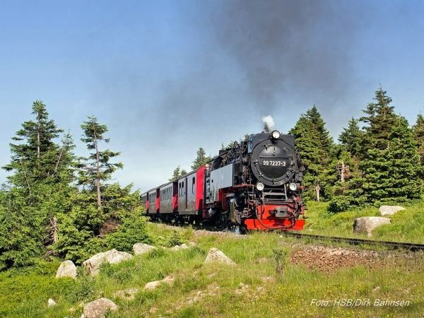 Mit Volldampf in den Familienurlaub – inkl. HP-Plus in Bad Lauterberg Halbpension Plus