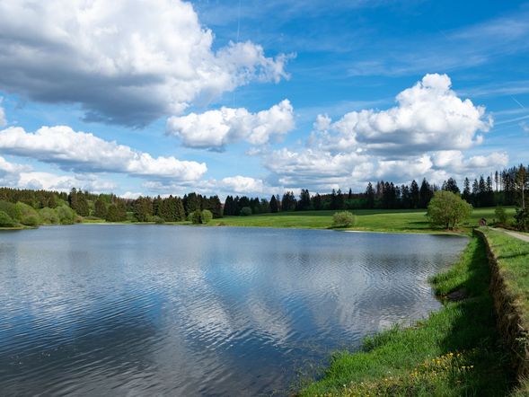 Bunter Bock - Die Harz Urlaubs-Alm