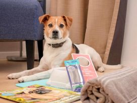 2 Tage im Hotel Mercure Aachen Europaplatz