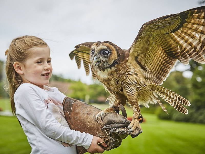 Familientipp: Weltvogelpark Walsrode