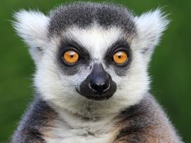 Wanderurlaub Pfälzerwald inkl. Halbpension | 5 Tage