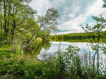 Natur Pur in der Schorfheide: 3 Tage Alltags-Detox