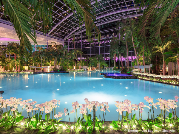 Kurztrip ins Palmenparadies Sinsheim – 2 Tage in Bad Schönborn Frühstück