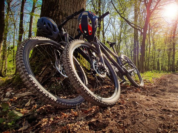 Männer auf Touren - Auszeit in der Wachau inkl. Fahrrad | 1 Nacht