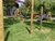 3 Tage Tiny House Erlebnis im Schwarzwald
