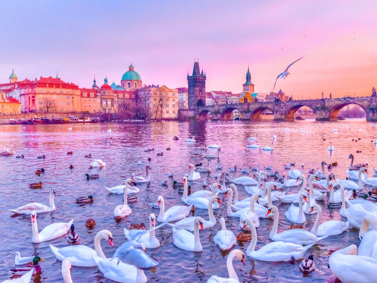 Prag zu Land und zu Wasser - 4 Tage