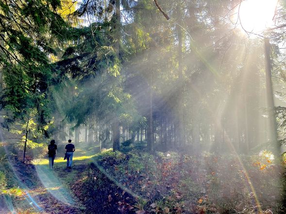 Einfach mal raus - Naturmomente in Bad Elster