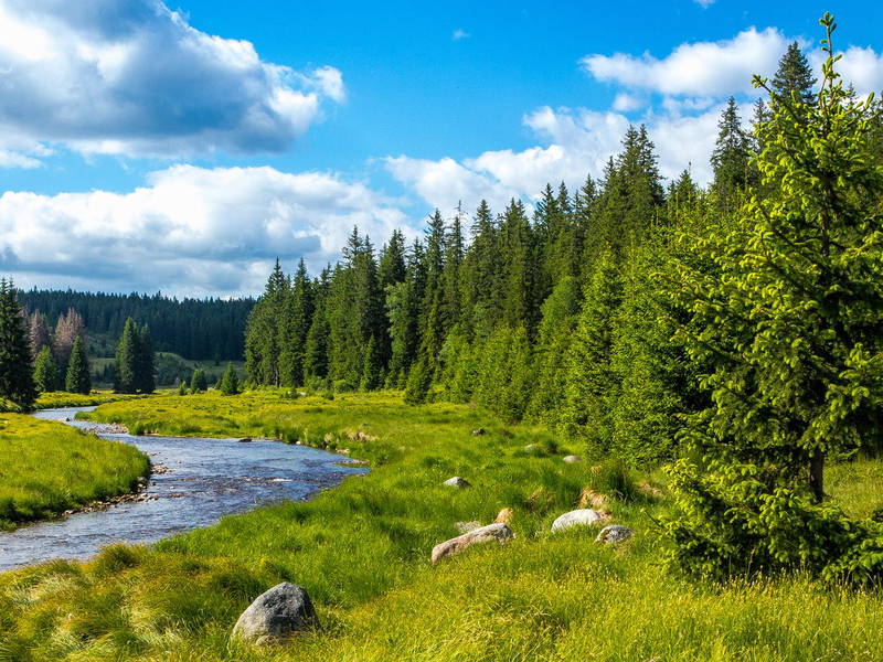 8 Tage Landhotel Rosenberger im Bayerischen Wald