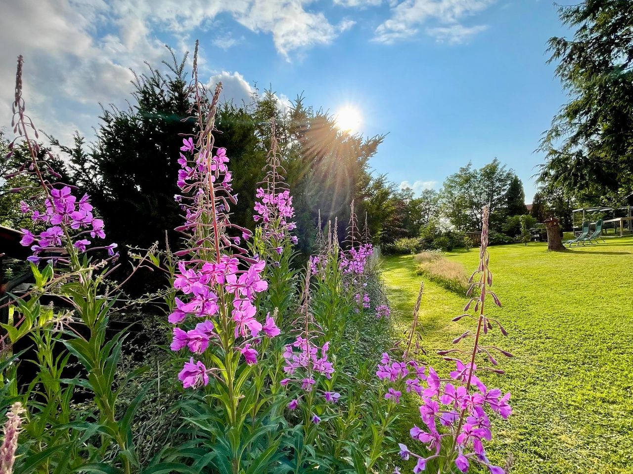 Wanderung Harzer Grenzweg & Dampfzug-Fahrt / 5 Tage