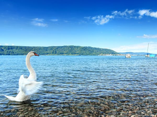 Urlaub am Bodensee - den gönn ich mir! - 4 Tage - Vienna House by Wyndham Martinspark Dornbirn