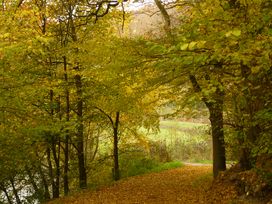 3 Tage Aktivurlaub - Gravelbiken/Radfahren im Wiedtal